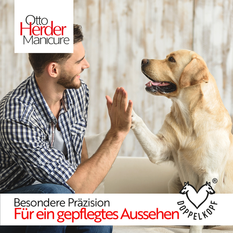 Otto Herder Hundeschere – Pfotenschere aus rostfreiem Edelstahl, 10 cm, mit abgerundeter Spitze